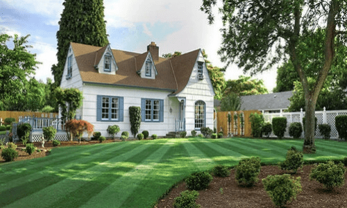 Lawn Care