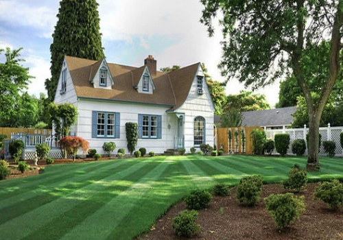 Lawn Maintenance