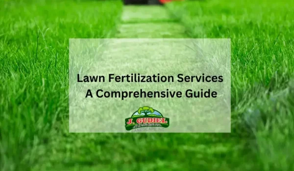 Lawn-Fertilization-Services_-A-Comprehensive-Guide-1160x607