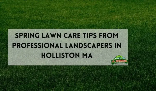 Spring-Lawn-Care-Tips-from-Professional-Landscapers-in-Holliston-MA-1_11zon-1160x607