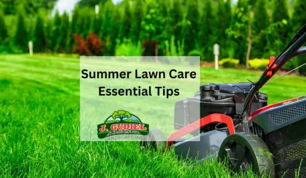 Summer-Lawn-Care_-Essential-Tips-1-1160x607