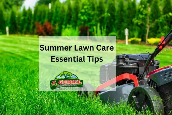 Summer-Lawn-Care_-Essential-Tips-1