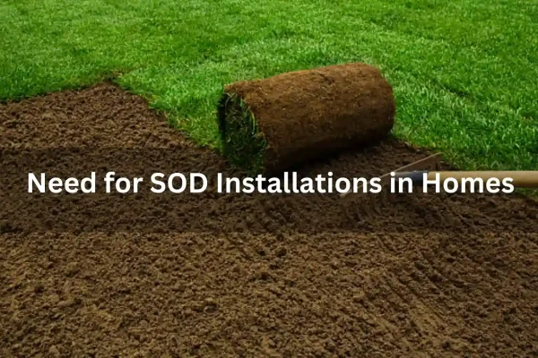 The Need for Sod Installation in Homes