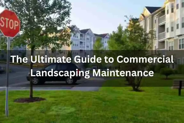 The-Ultimate-Guide-to-Commercial-Landscaping-Maintenance_11zon