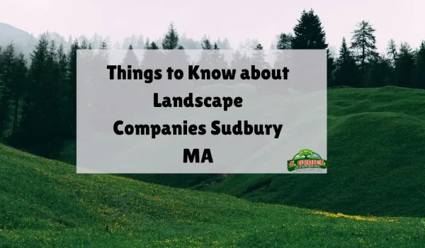 Things-to-Know-about-Landscape-Companies-Sudbury-MA-1