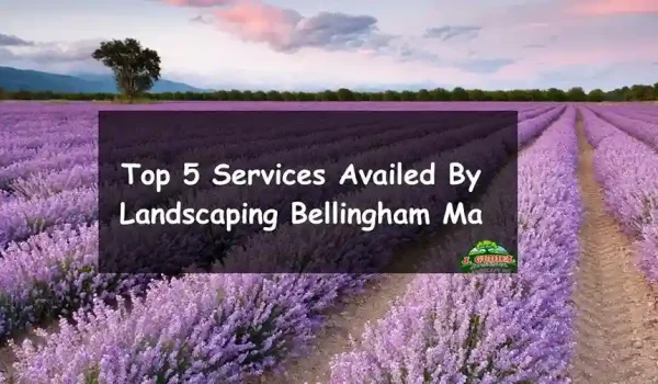 Top-5-Services-Availed-By-Landscaping-Bellingham-Ma_11zon