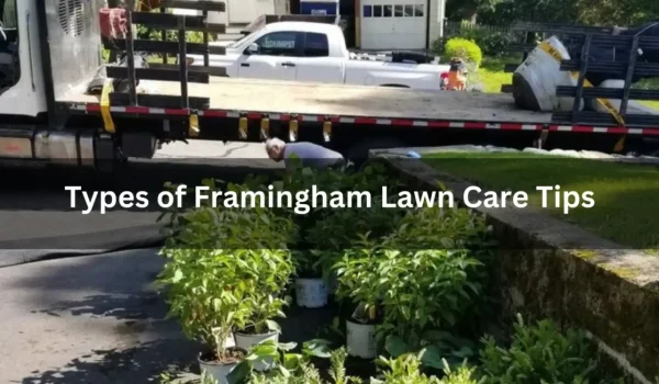 Types-of-Framingham-Lawn-Care-Tips-You-Should-Know-1160x653