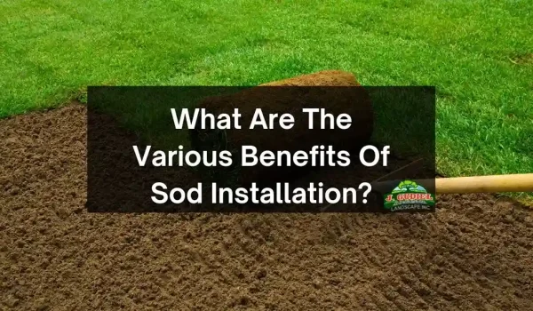 What-Are-The-Various-Benefits-Of-Sod-Installation-2_11zon