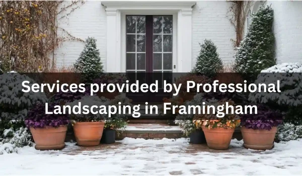 What-Services-are-provided-by-Professional-Landscaping-in-Framingham-in-Winter