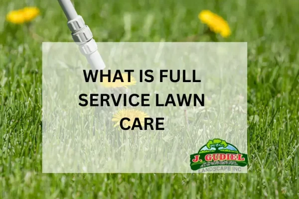 What-is-Full-Service-Lawn-Care_-A-Complete-Guide