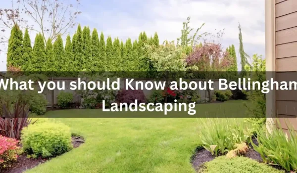 What-you-should-Know-about-Bellingham-Landscaping-1160x653