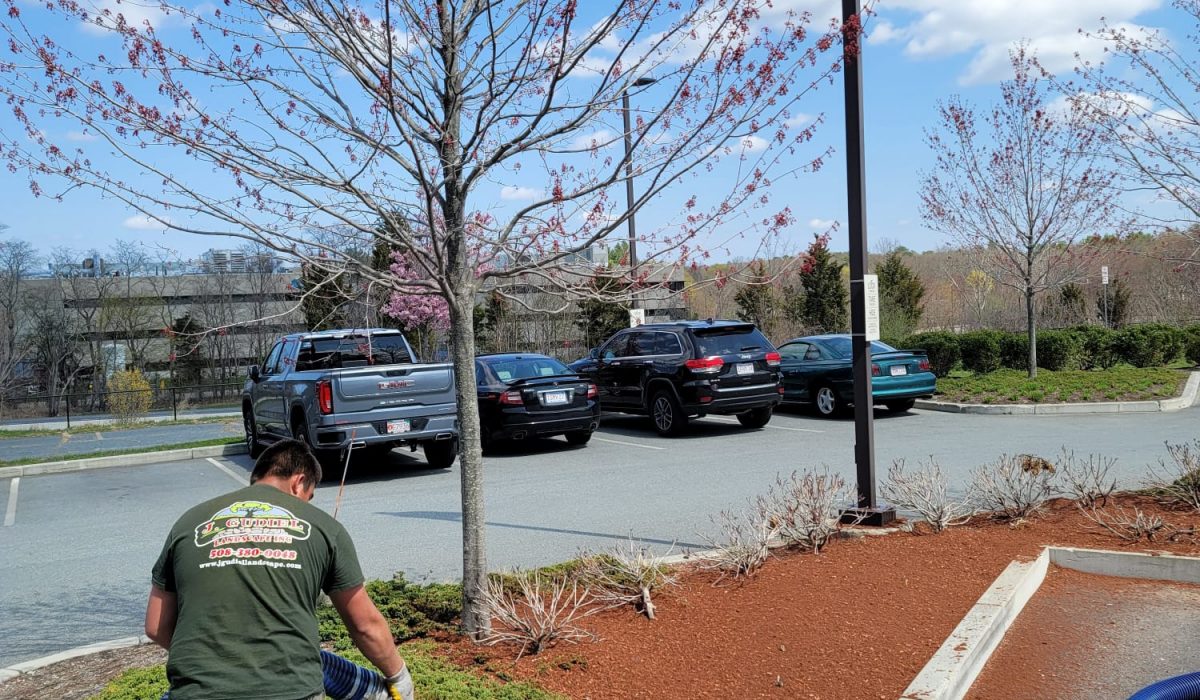 WhatsApp Image 2025-09-14 at 1.59.09 AM (3)