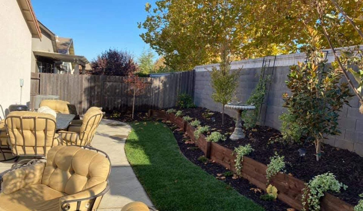 WhatsApp Image 2025-09-14 at 1.59.09 AM (5)