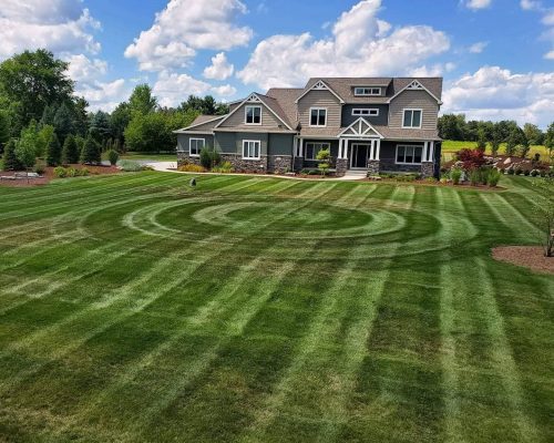 Lawn Maintenance