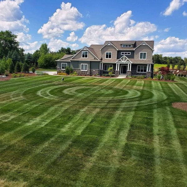 Lawn Maintenance