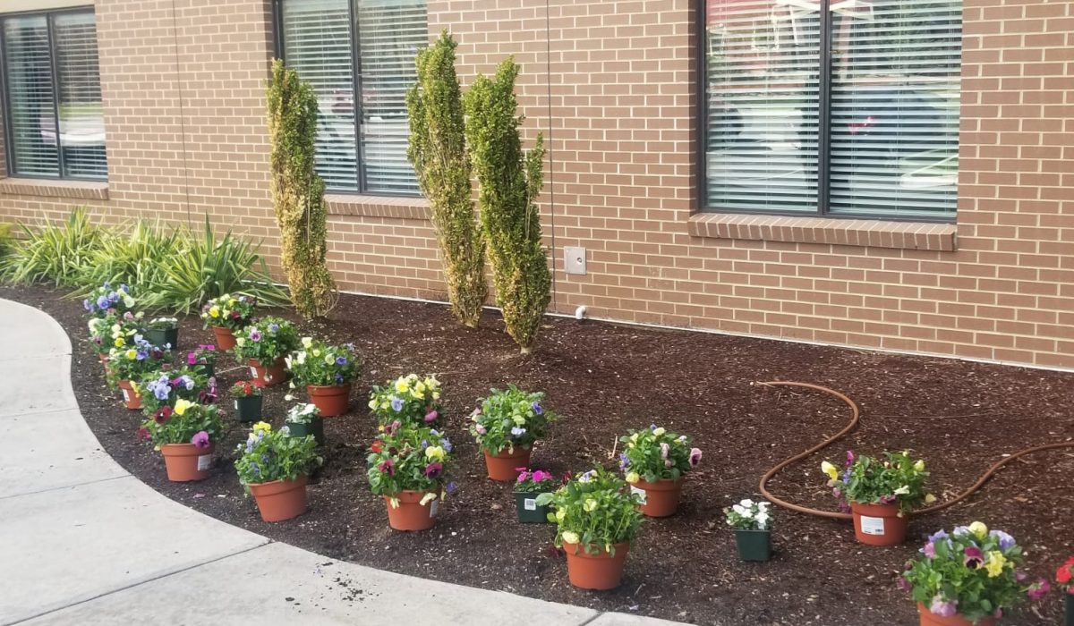 WhatsApp Image 2025-09-14 at 1.59.11 AM (1)