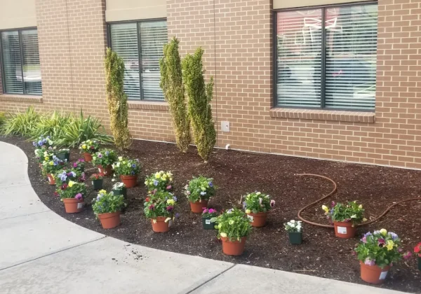 WhatsApp-Image-2025-09-14-at-1.59.11-AM-1