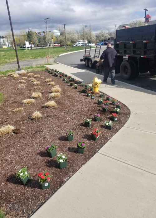 WhatsApp Image 2025-09-14 at 1.59.11 AM