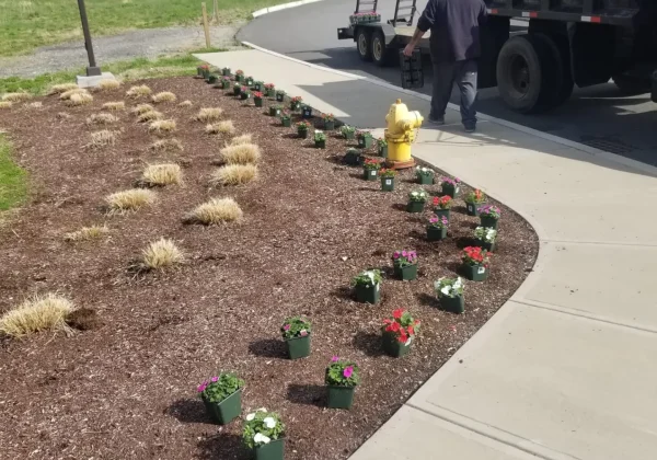 WhatsApp-Image-2025-09-14-at-1.59.11-AM