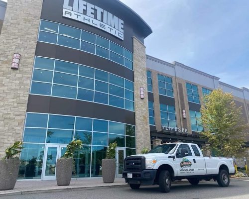 Commercial Landscaping