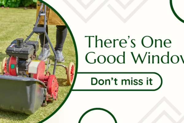 When to Aerate and Overseed Your Lawn in Massachusetts