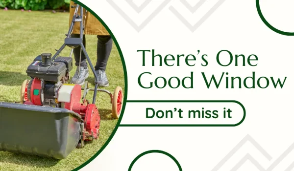 When-to-Aerate-and-Overseed-Your-Lawn-in-Massachusetts