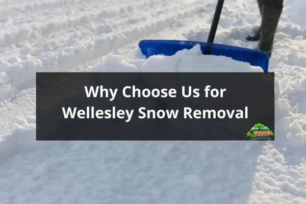 Why-Choose-Us-for-Wellesley-Snow-Removal-1