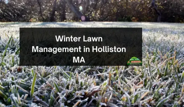 Winter-Lawn-Management-in-Holliston-MA-1_11zon-1160x607