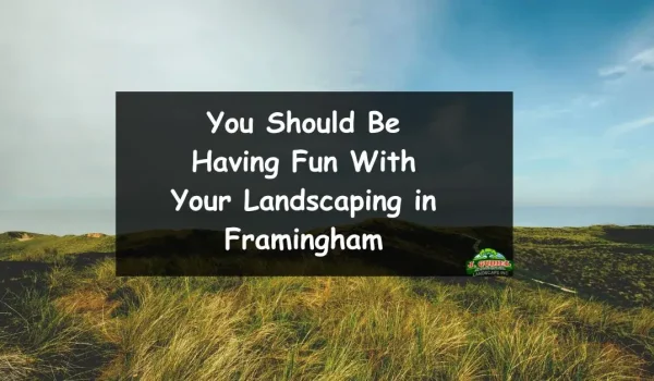 You-Should-Be-Having-Fun-With-Your-Landscaping-in-Framingham-1