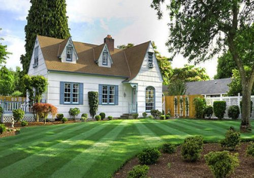 faster_results_500x333-relxe8omb2vr0lpw4wnxcp39ctkd2w77y5zdid8yu0