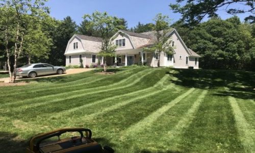 Lawn Maintenance