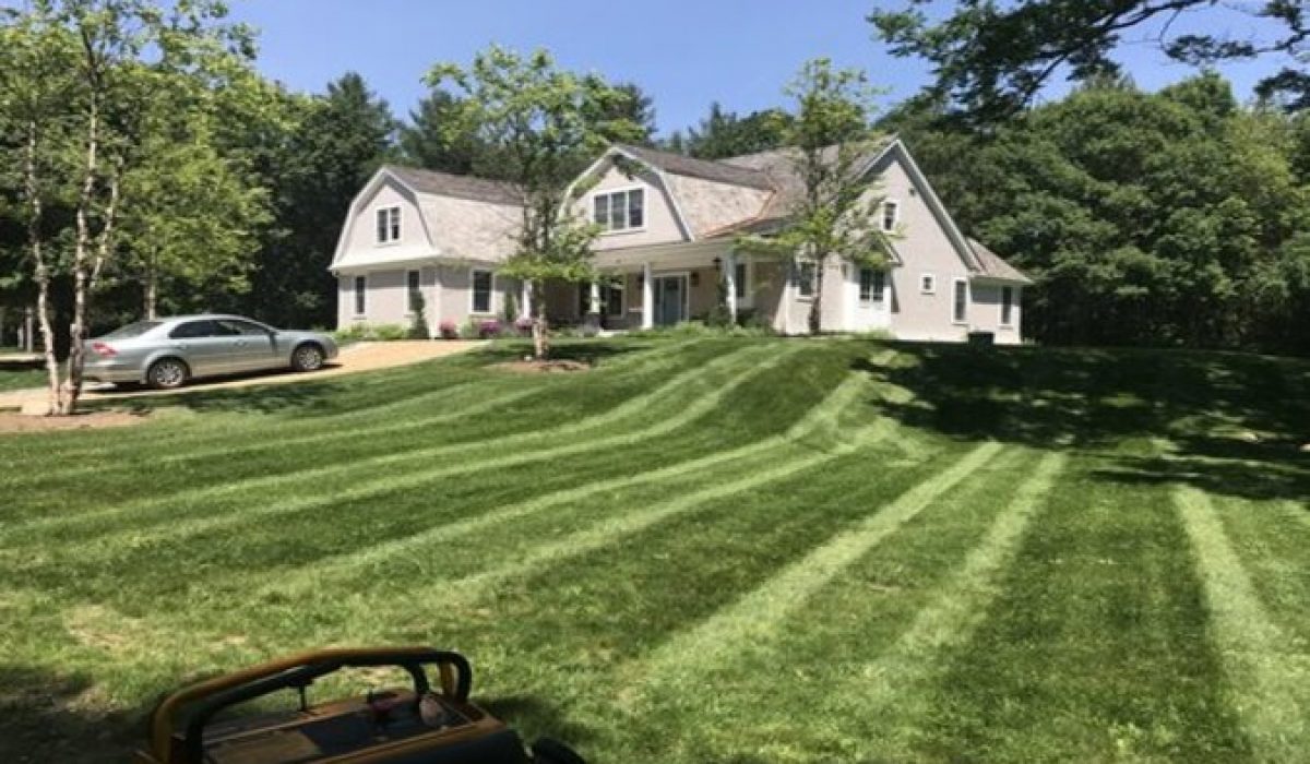Lawn Maintenance